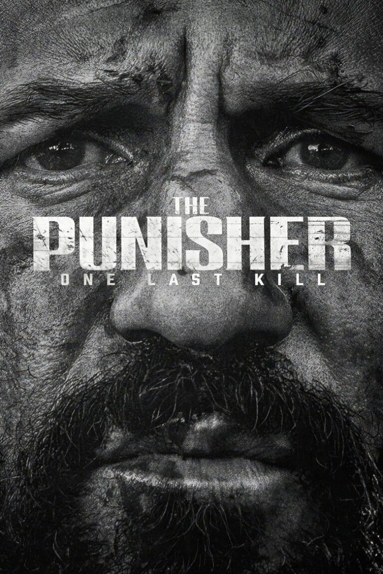 The Punisher: One Last Kill